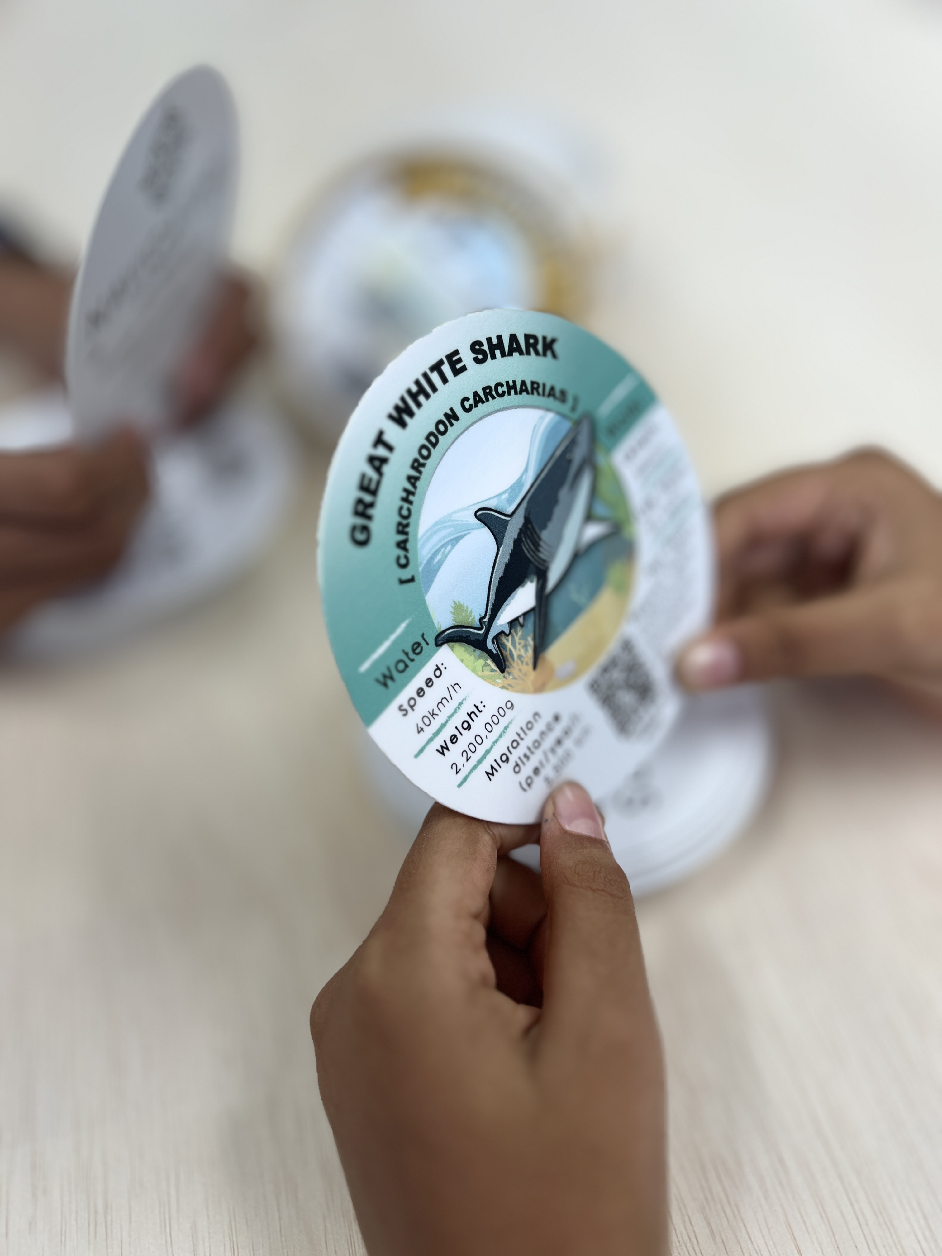Navigators of Nature cards and packaging.